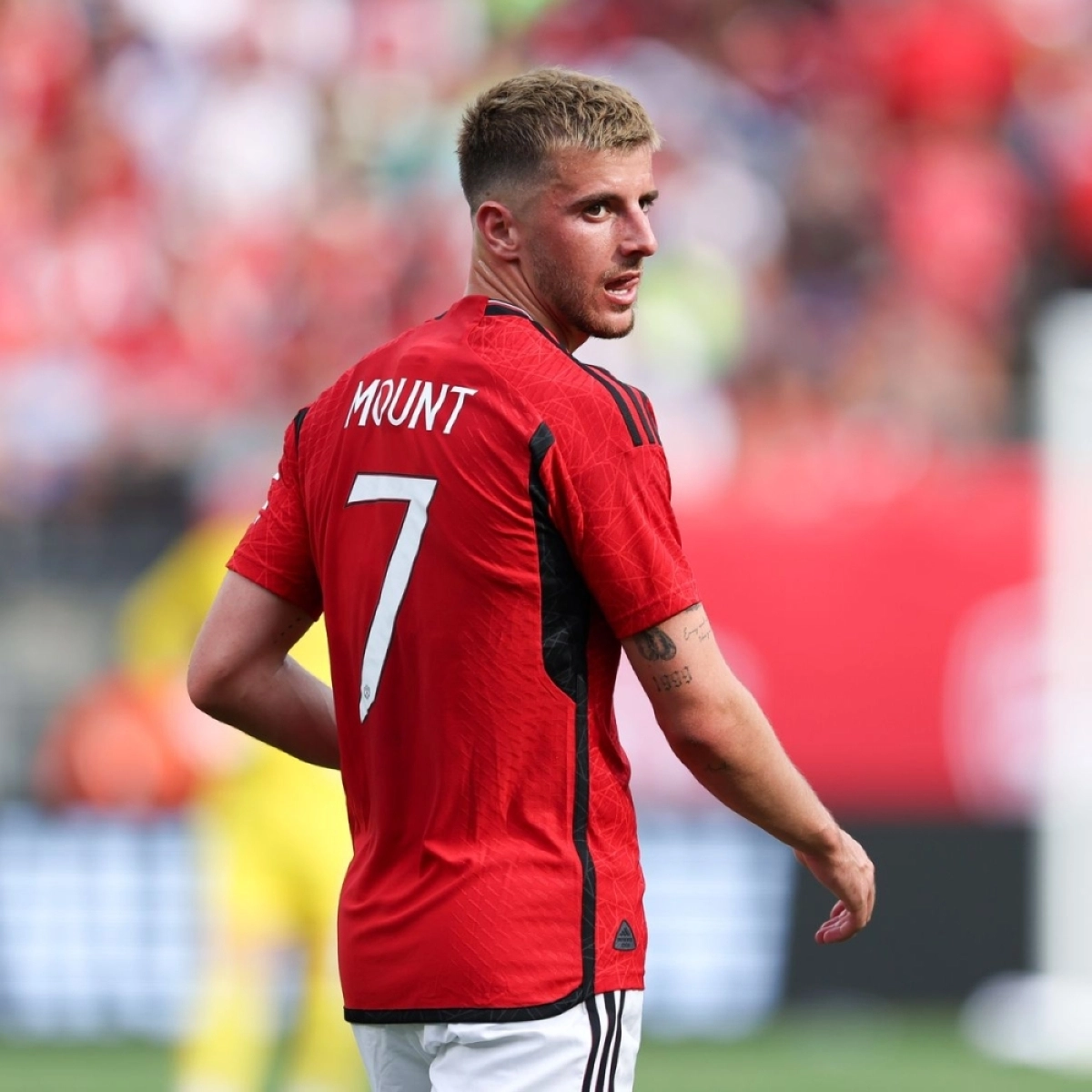 ميسون ماونت