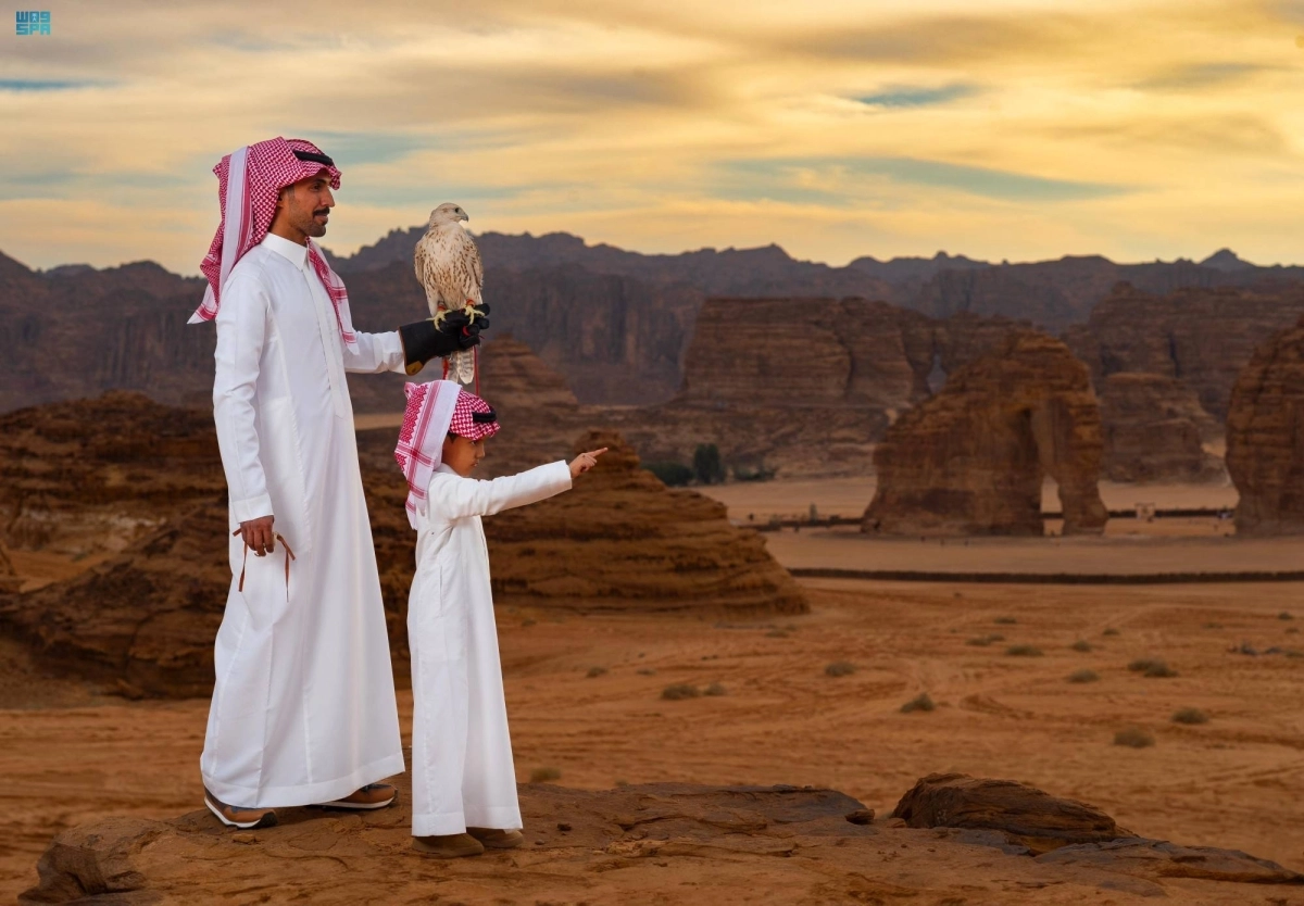 DST_2019556_5700913_91_2_2023122520054631