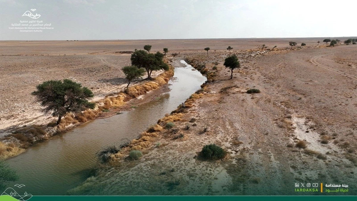 محمية الامام عبد العزيز