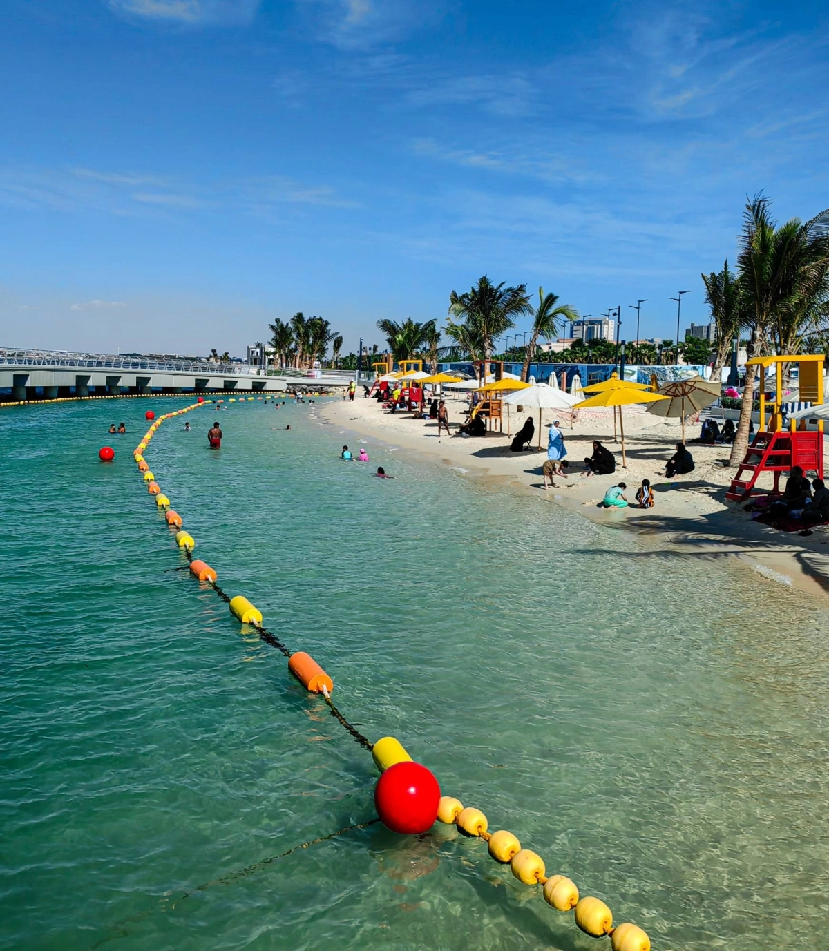 ​​​​​​​(أنس الحارثي)