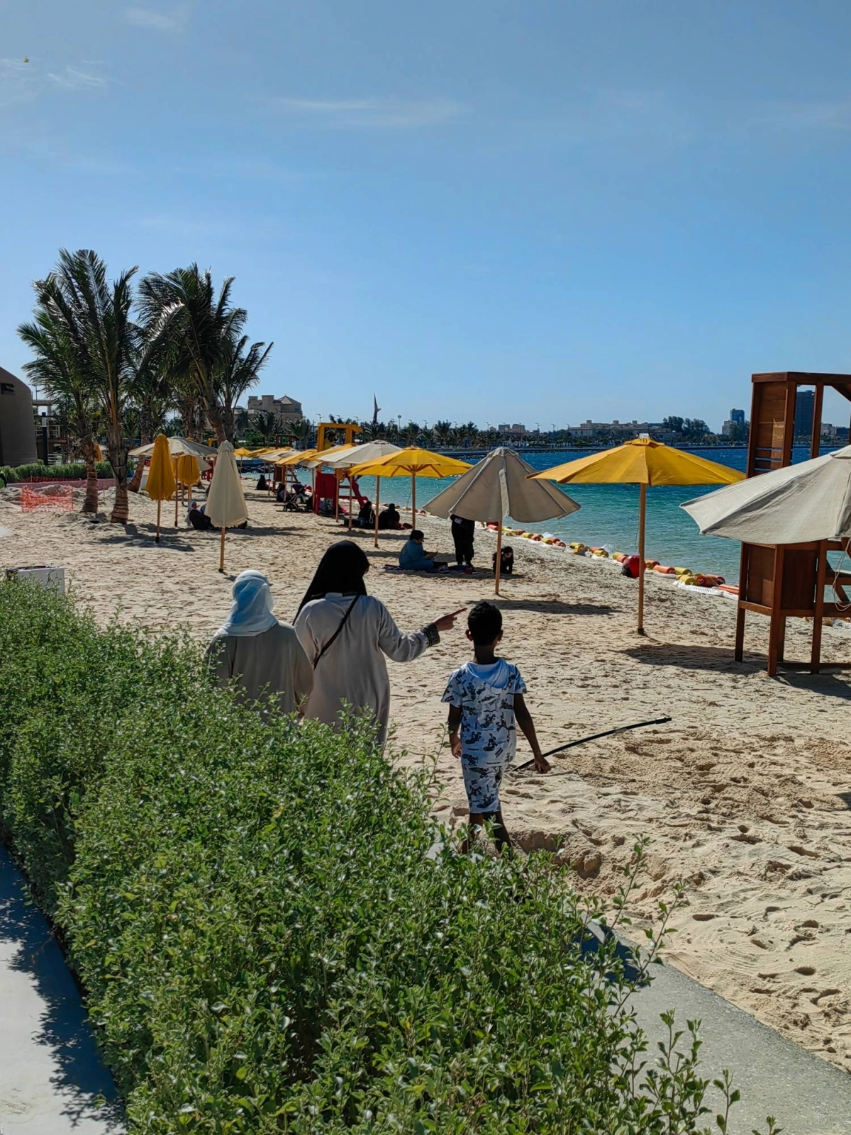 ​​​​​​​(أنس الحارثي)