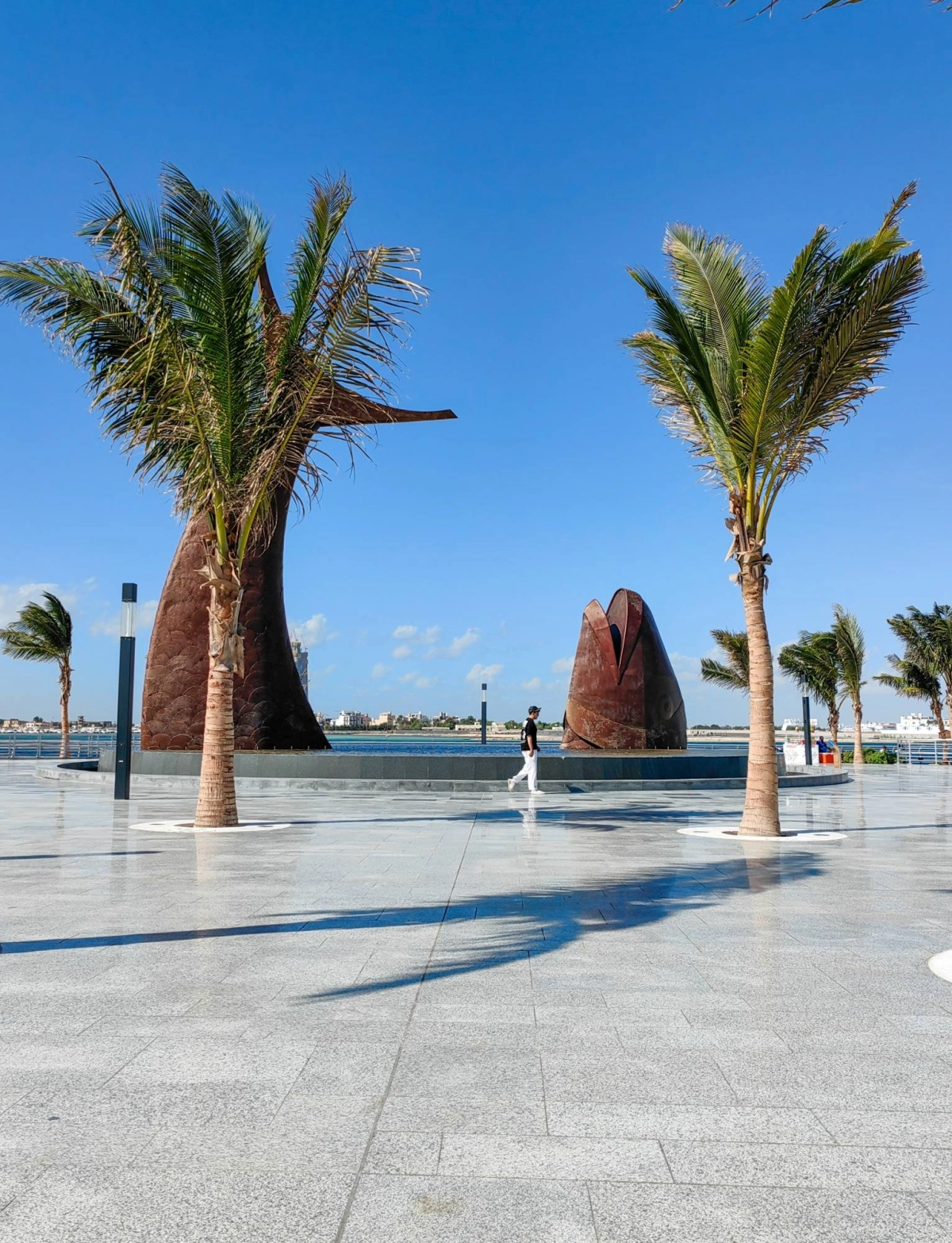 ​​​​​​​(أنس الحارثي)