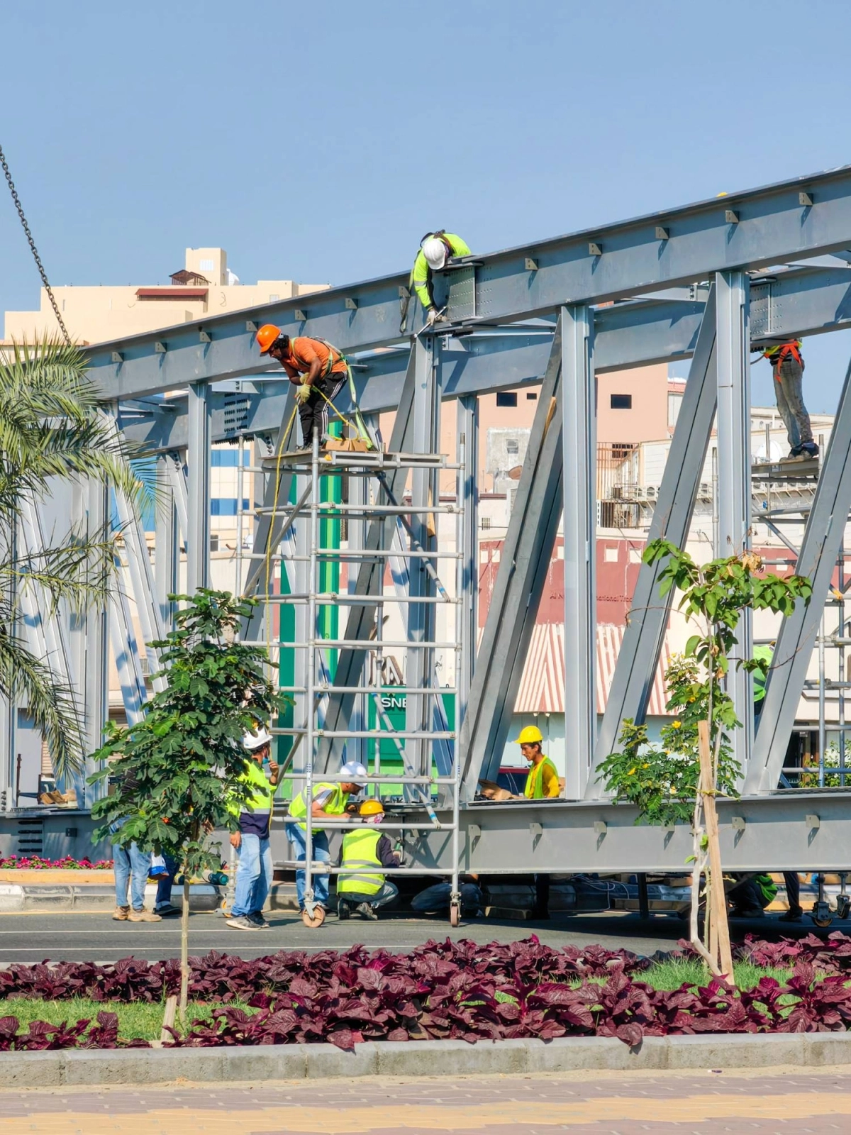 (أنس الحارثي)