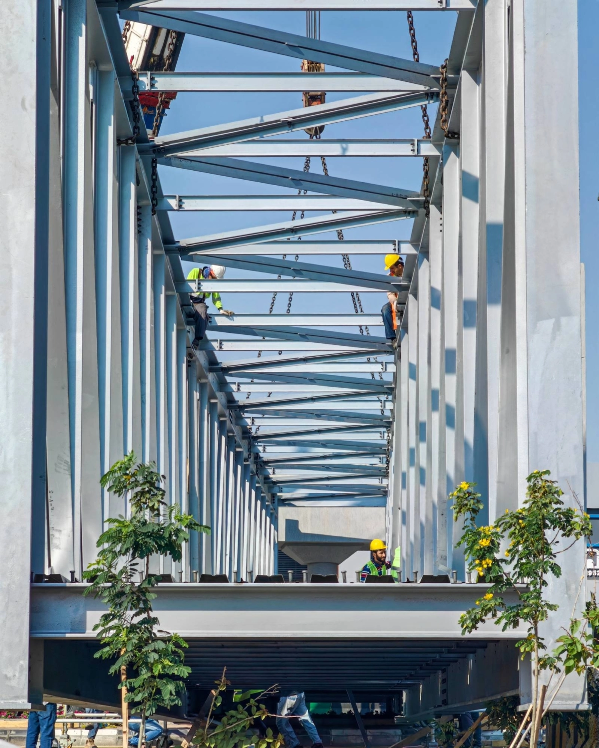 (أنس الحارثي)