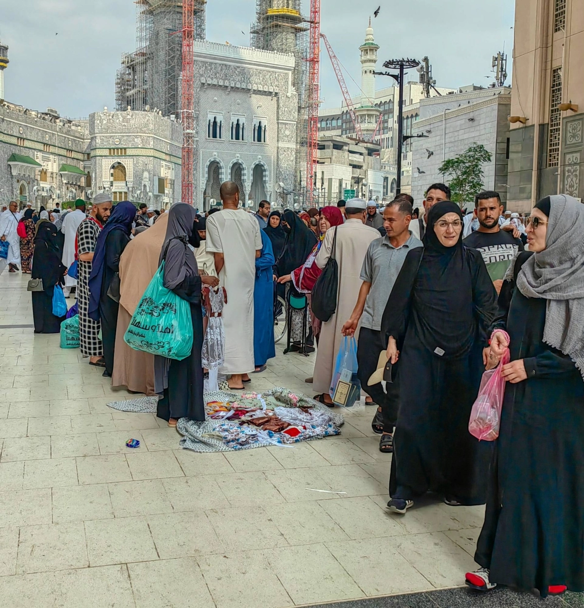 (أنس الحارثي)