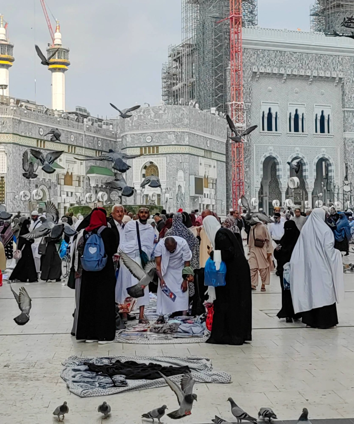 (أنس الحارثي)