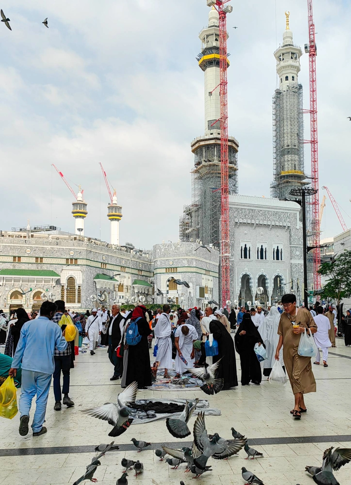 (أنس الحارثي)