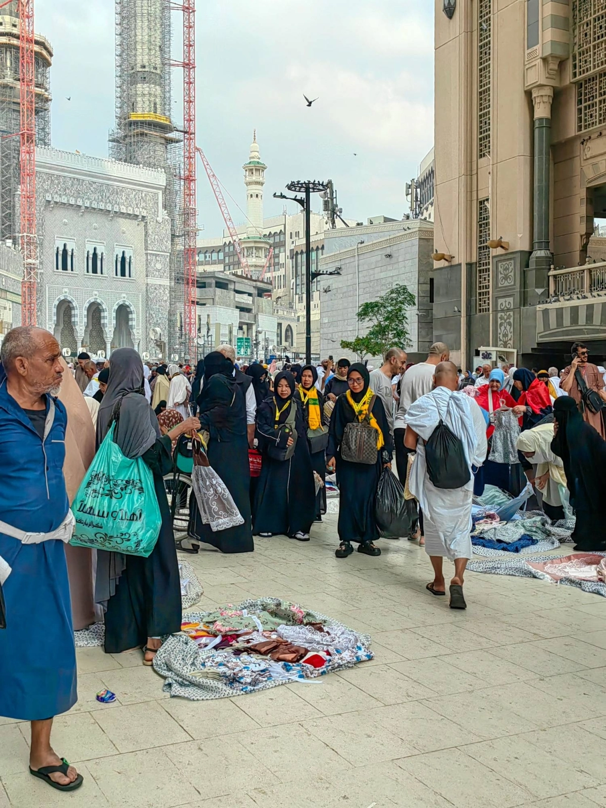 (أنس الحارثي)