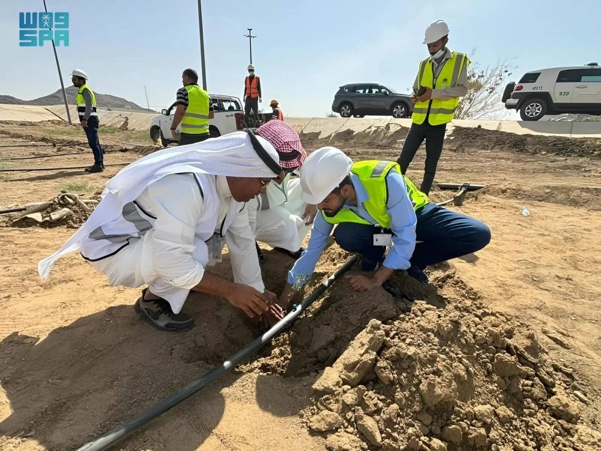 


زراعة الشتلات في صهبان                            (مكة)     