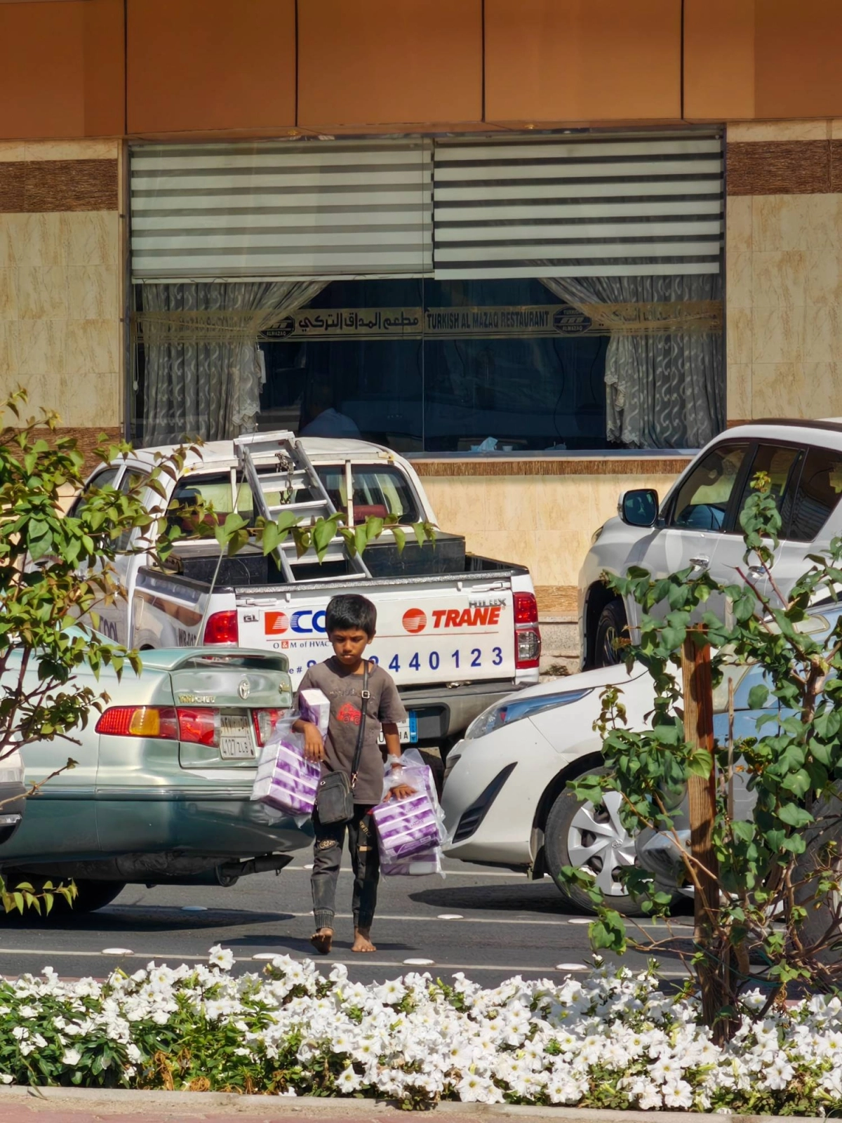 (أنس الحارثي)