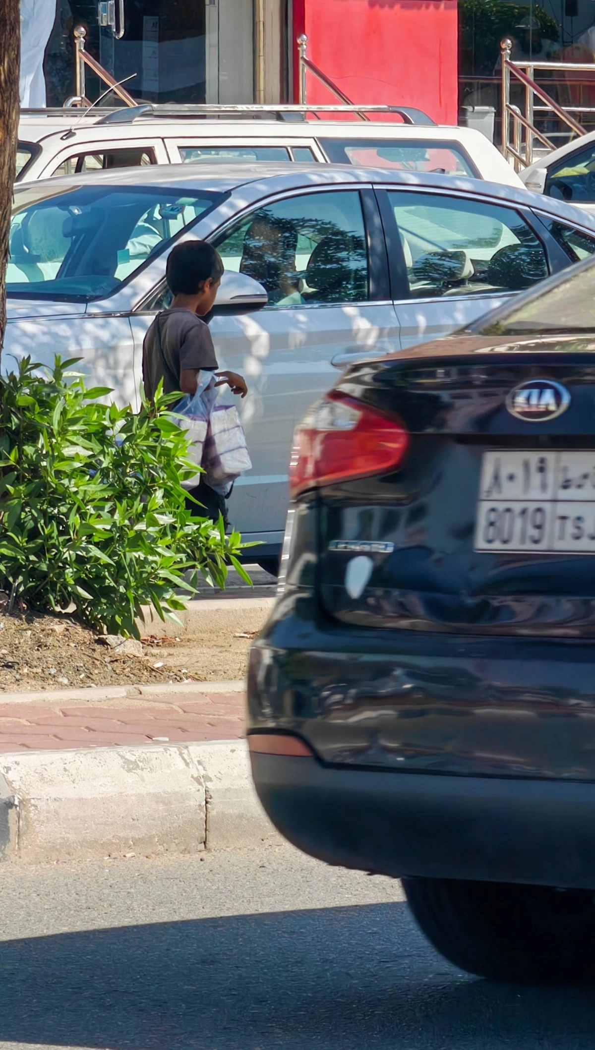 (أنس الحارثي)