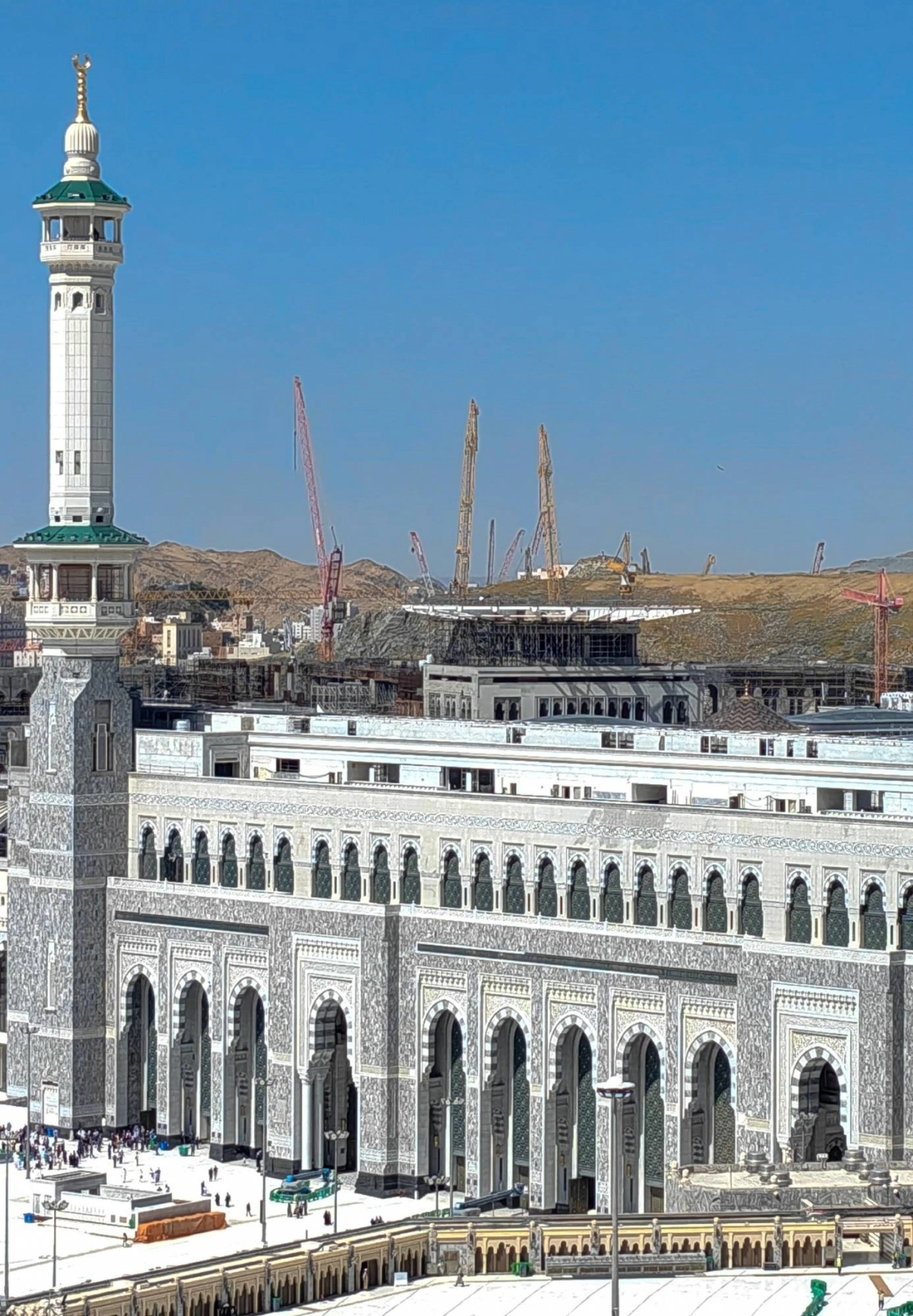 (أنس الحارثي)