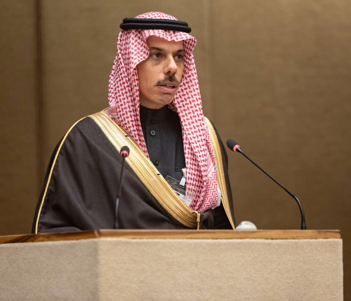 وزير الخارجية لدى مشاركته في المؤتمر