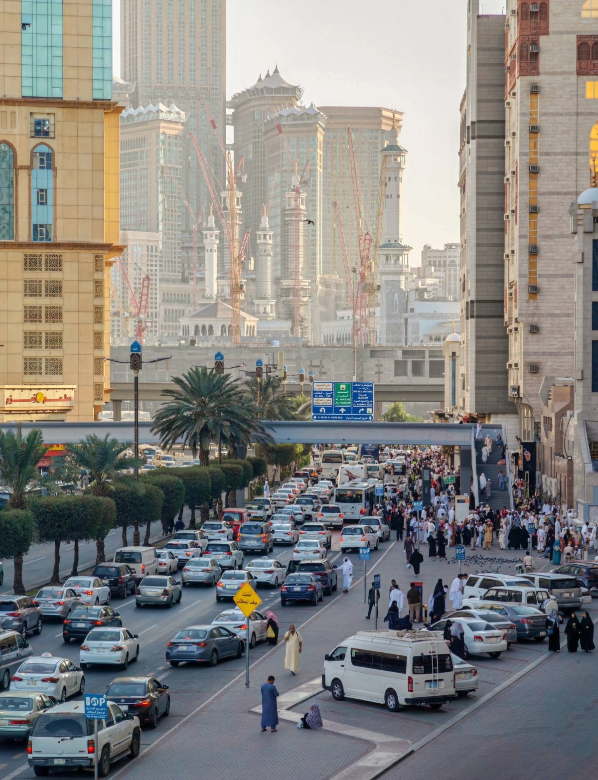 (أنس الحارثي)