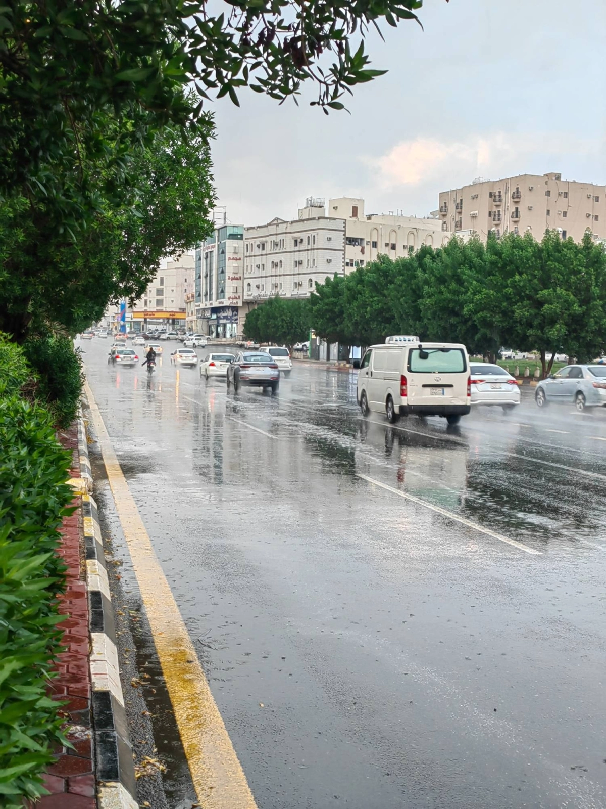 (أنس الحارثي)