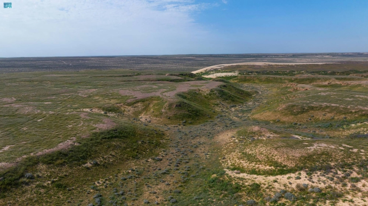 


جانب من محمية الصمان                      (مكة) 