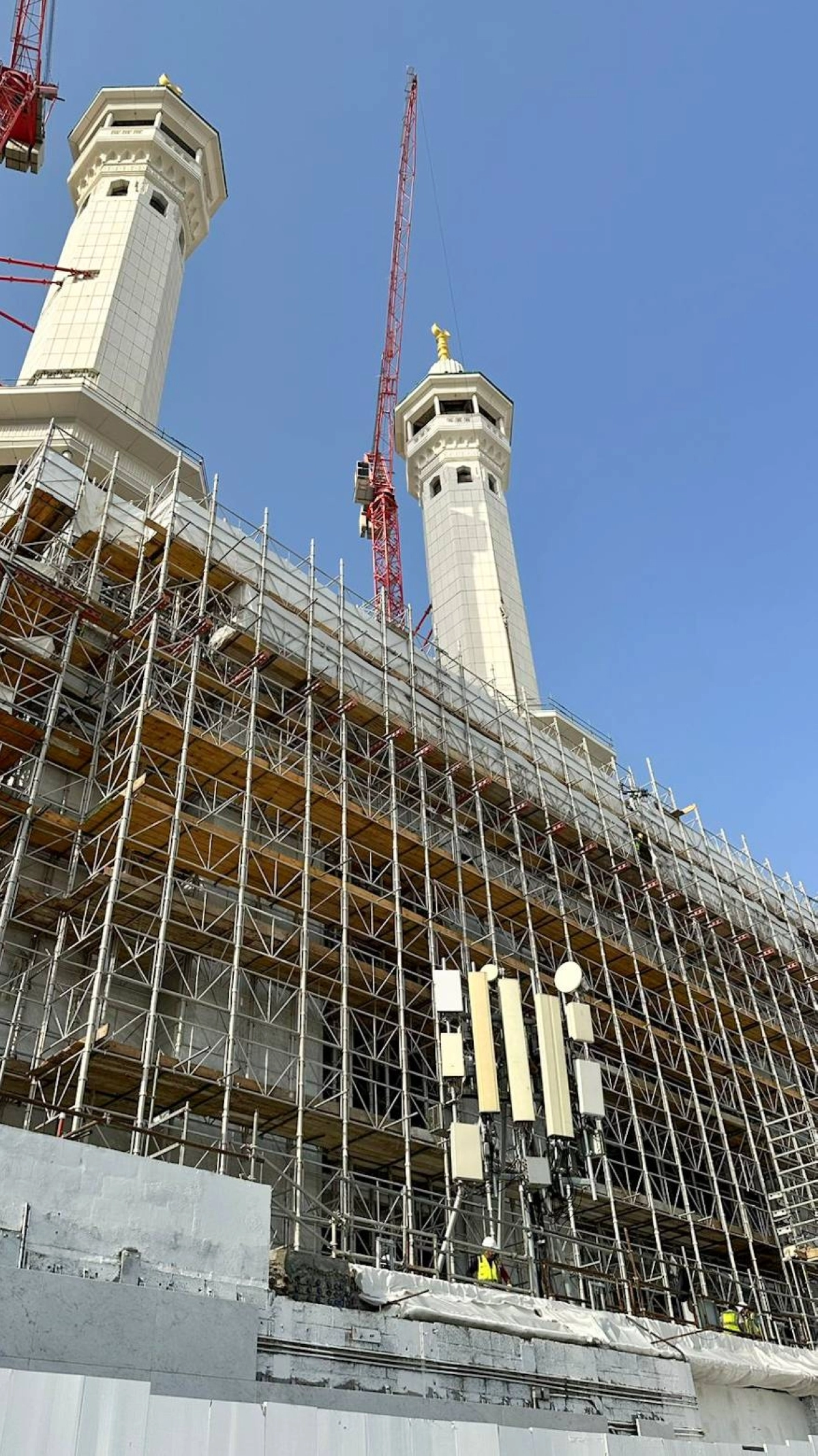 (أنس الحارثي)