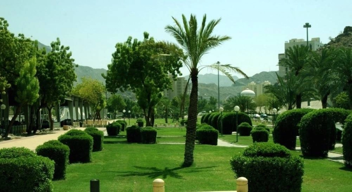 الإنترنت مجاني في الحدائق