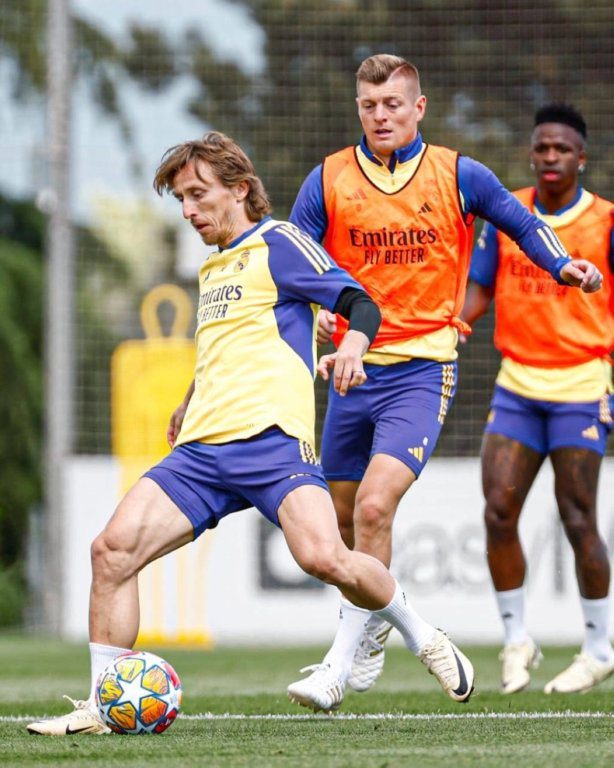 


لوكا مودريتش يتقدم استعدادات الريال 