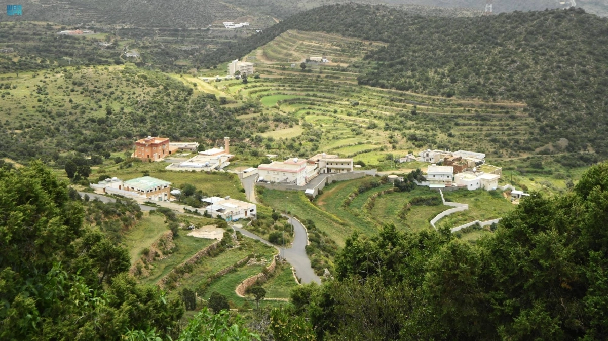 


مزارع وبساتين اكتست بالخضرة                                 (مكة) 