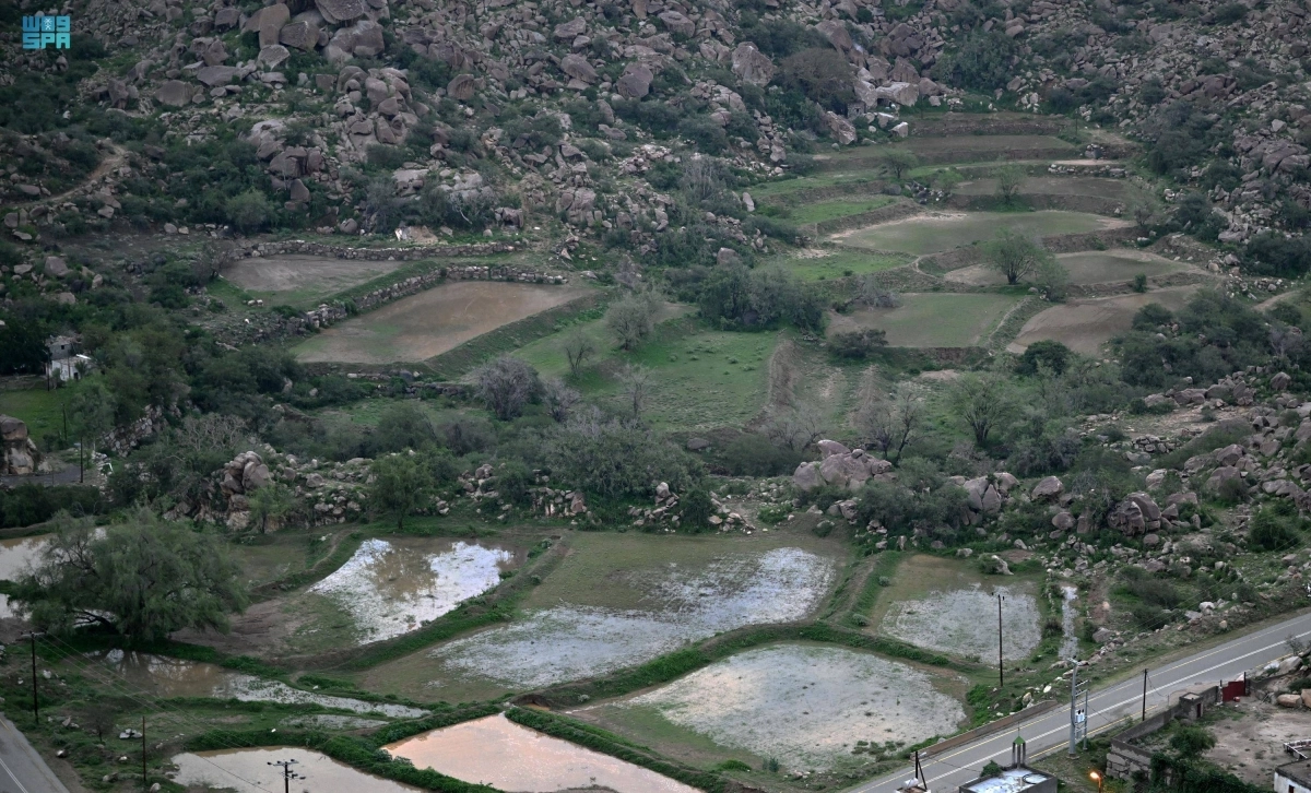 أمطار الطائف