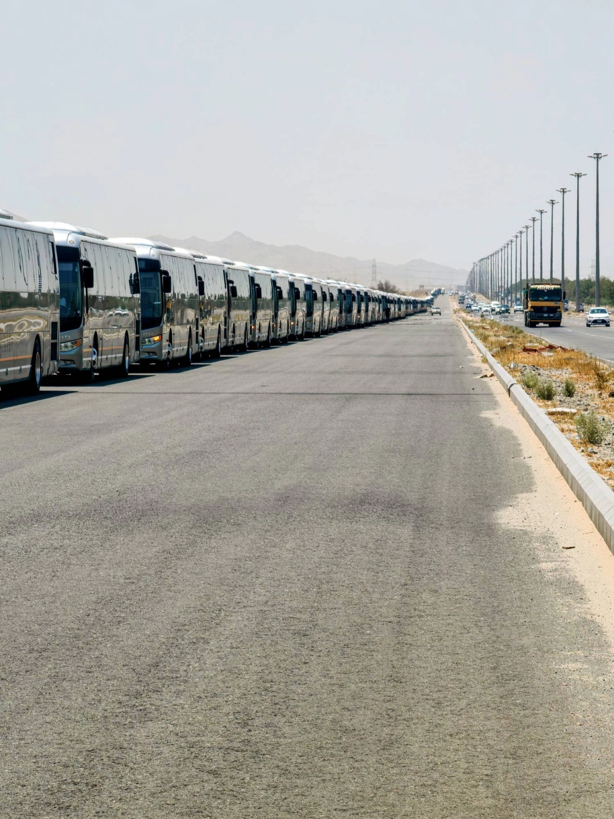 (أنس الحارثي)