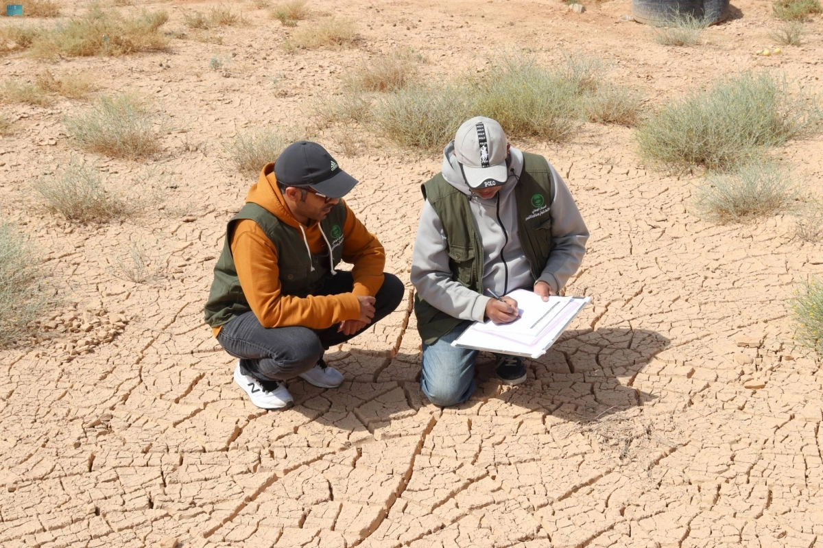 


إنتاج الخرائط المكانية 