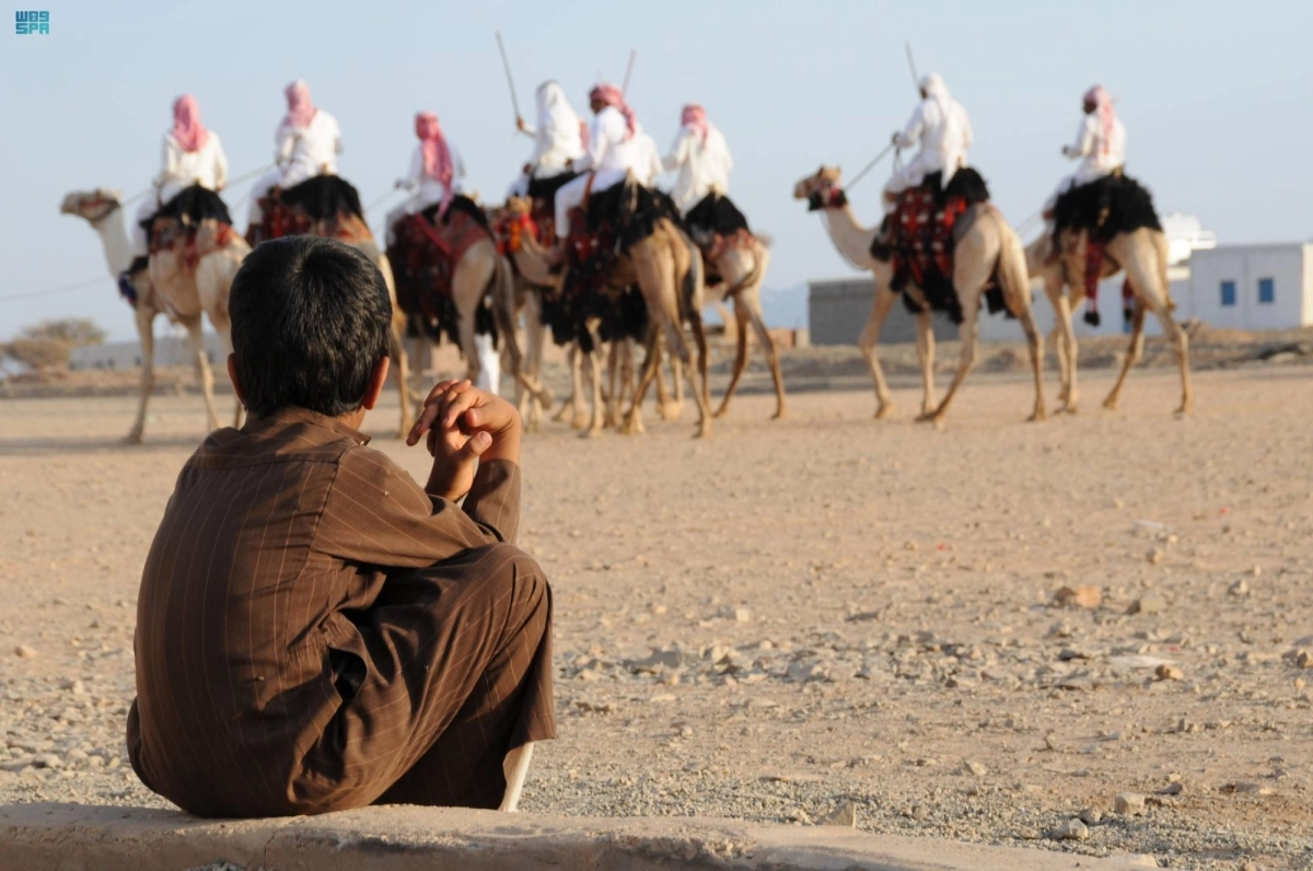 الإبل تعد موروثا مهما                                              (مكة)