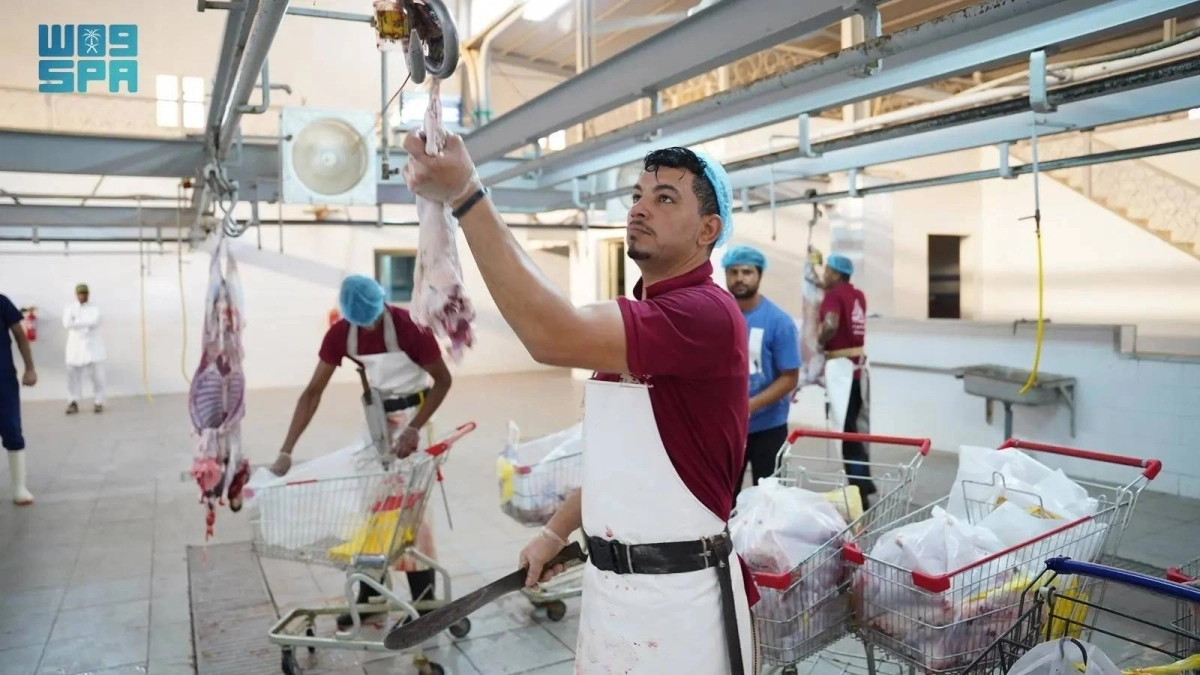 


عمال بأحد مسالخ الرياض                                         (مكة) 