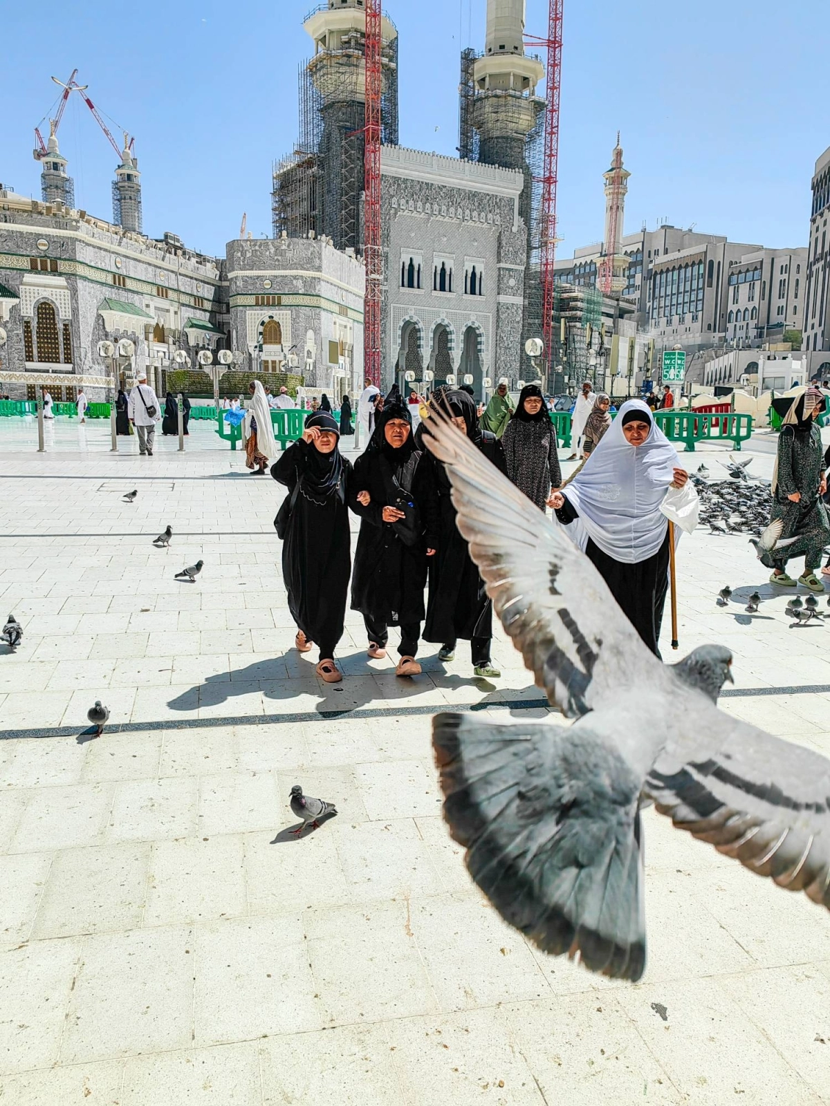 (أنس الحارثي)