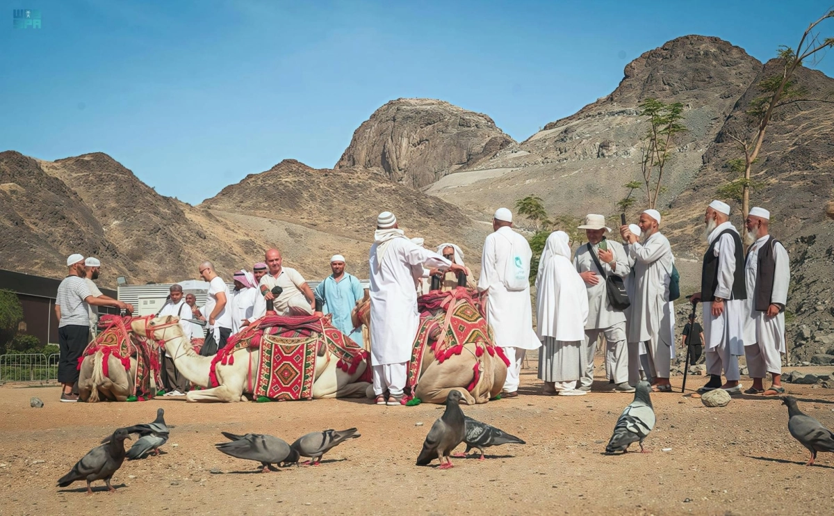 


حجاج خلال تجربة قوافل الحج                                                         (مكة) 