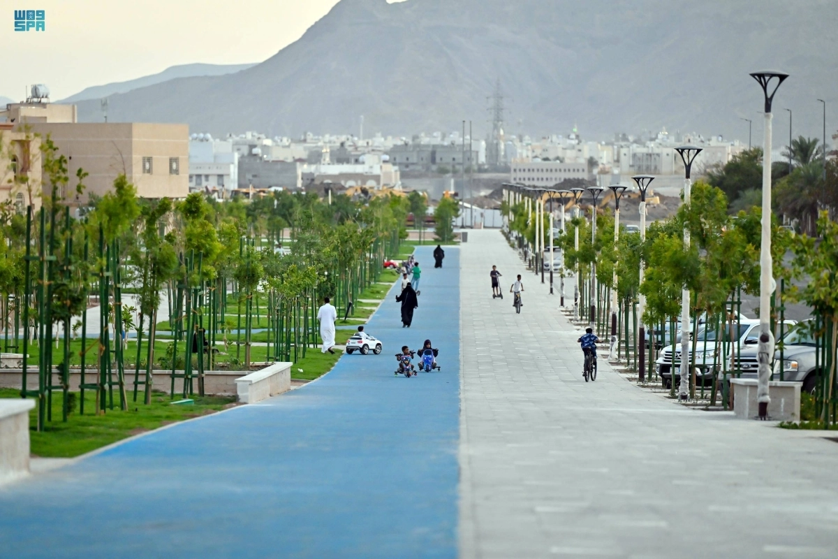 


أحد مسارات شوران 