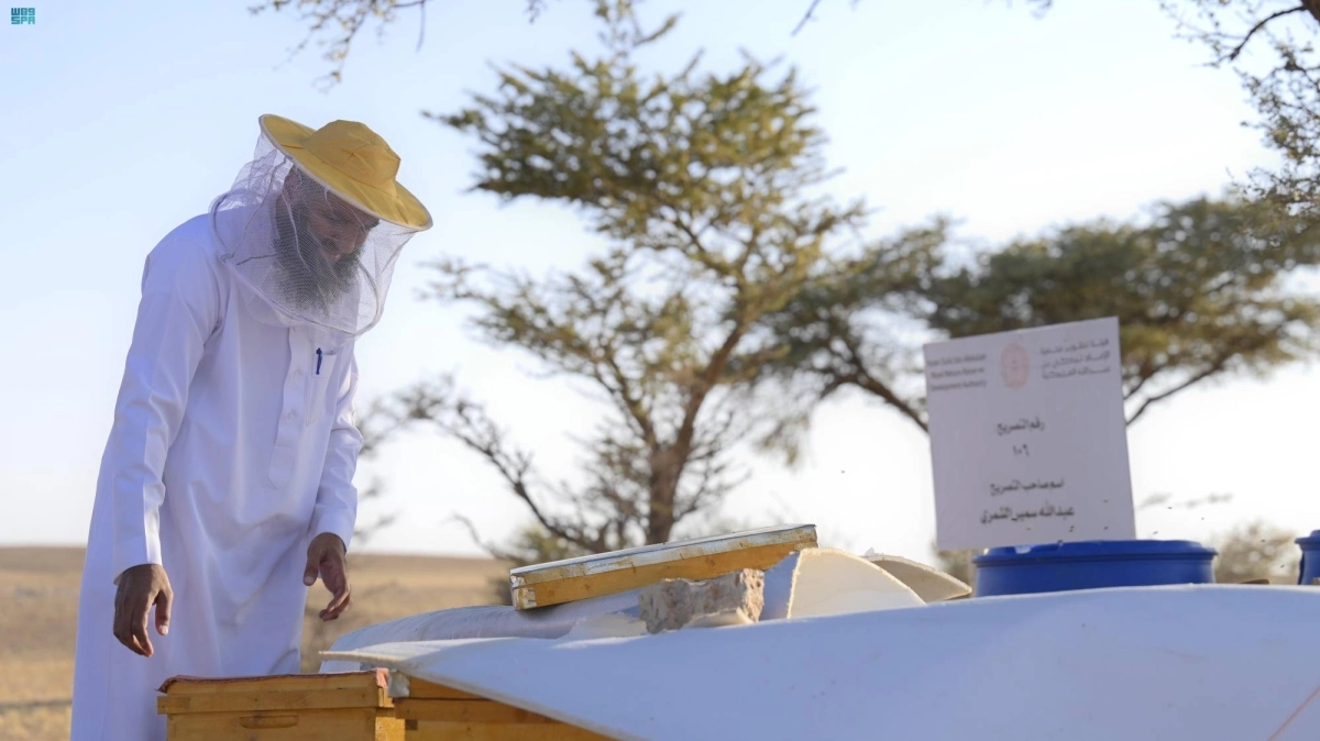 


نحال يتعامل مع خلايا النحل                                                    (مكة) 