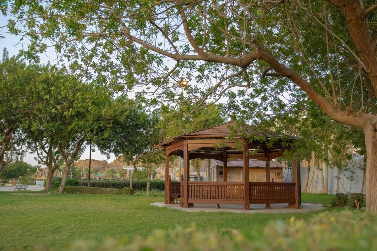 


مسطحات خضراء بالطائف                    (مكة) 