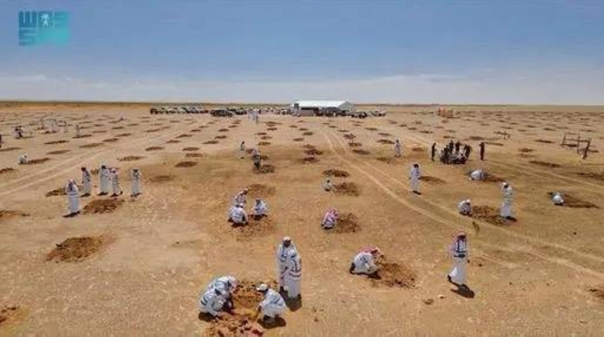 


زراعة شتلات لإعادة التوازن الطبيعي                                              (مكة) 