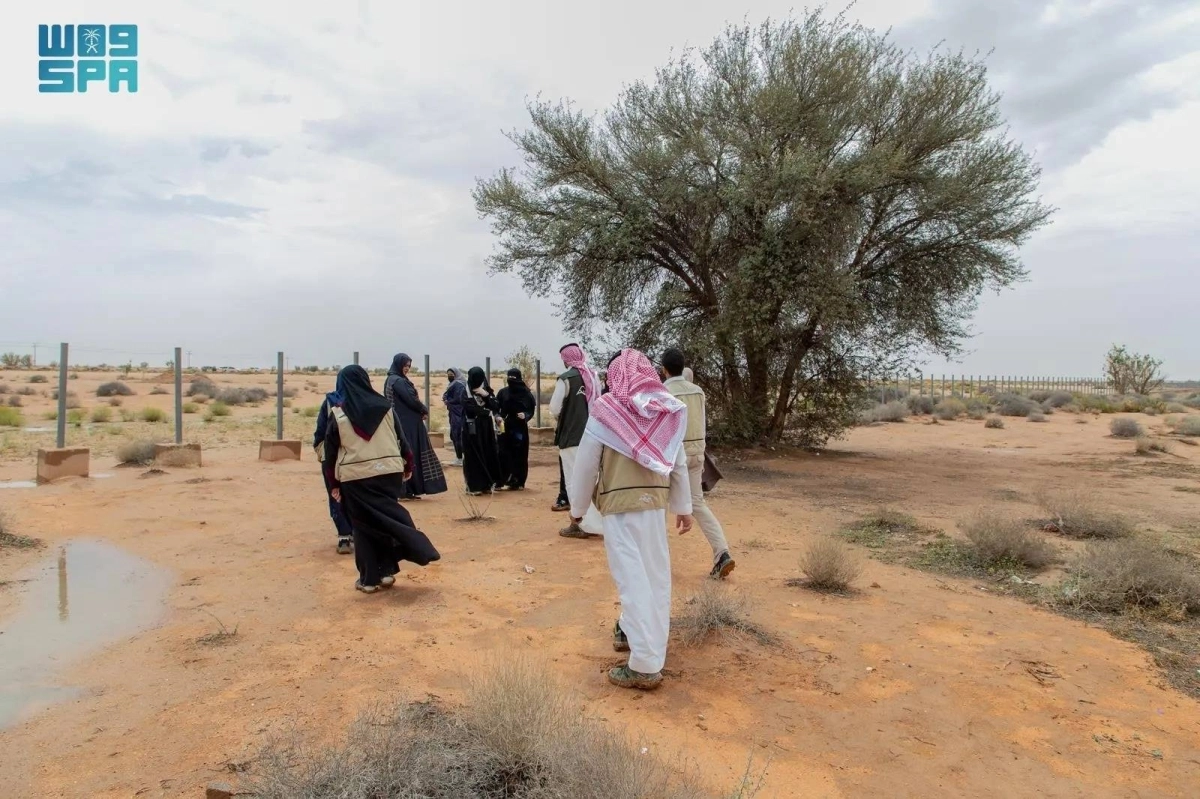 من داخل المحمية