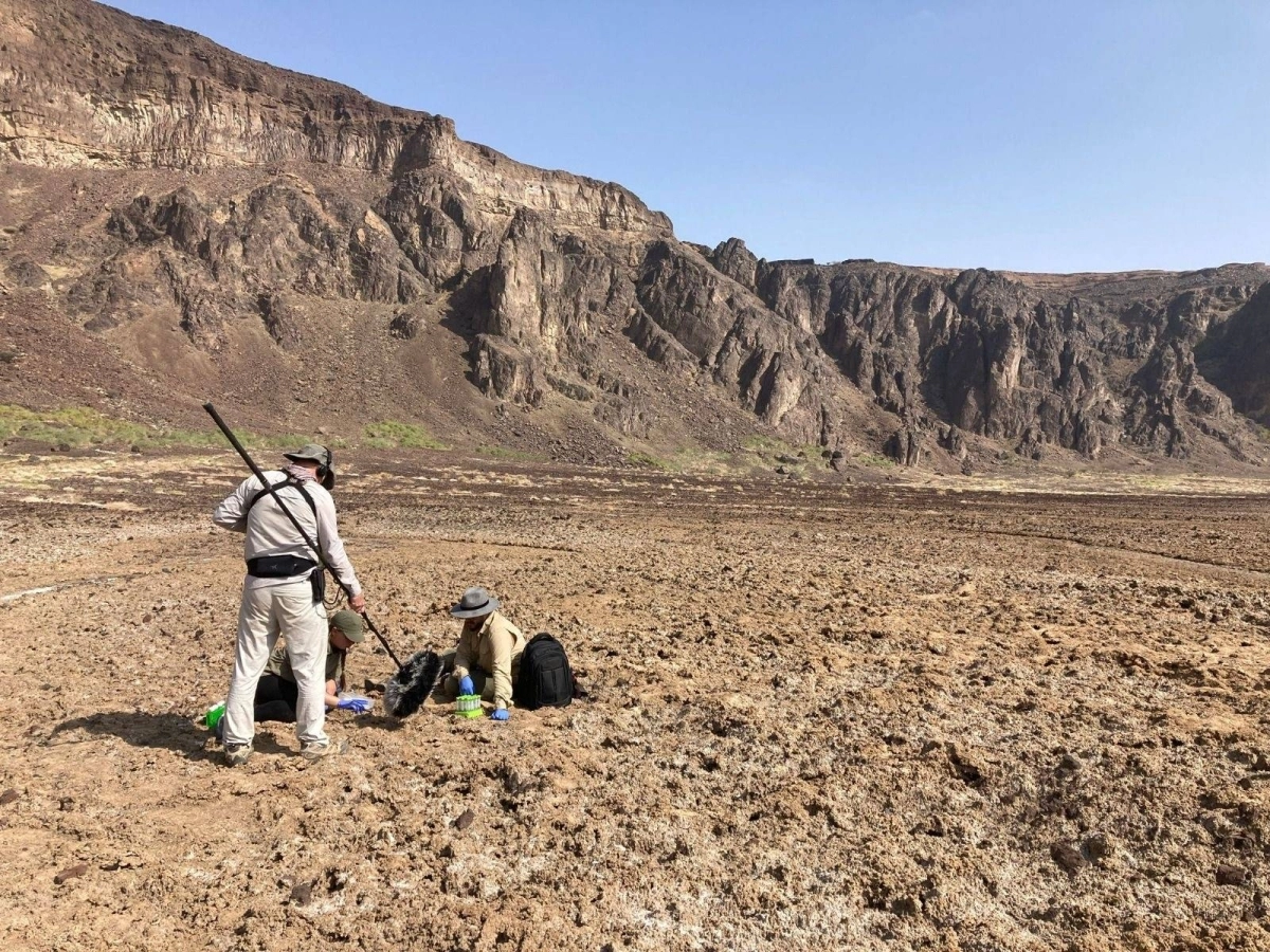 باحثون من كاوست يجمعون العينات في فوهة الوعبة