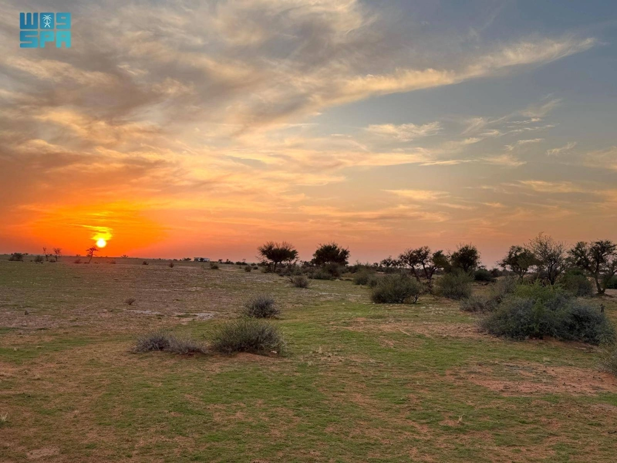 


محمية الإمام تركي 