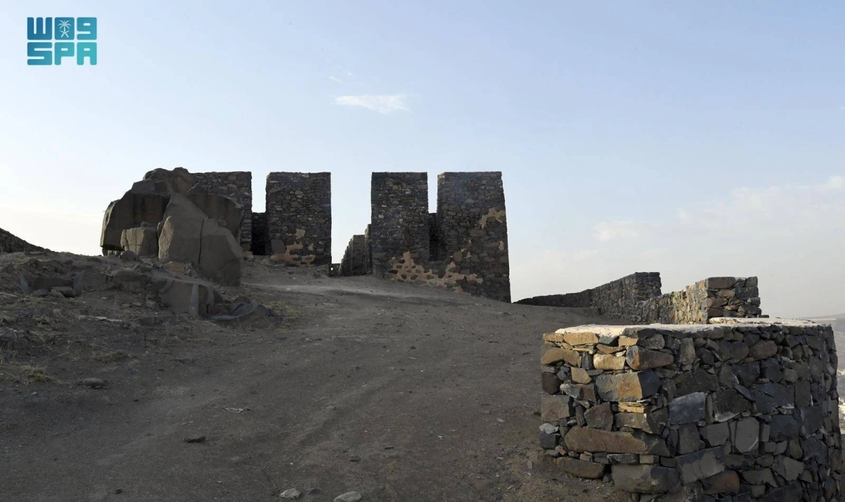 


قلعة «الدقل»
 