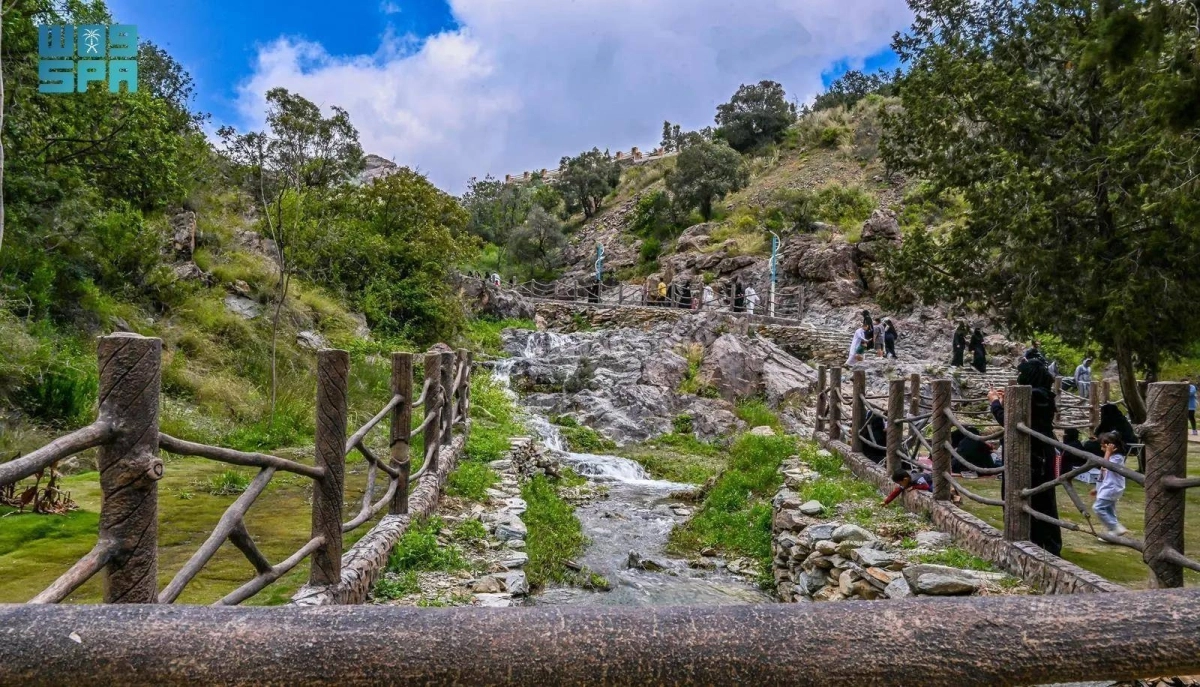 ECHJpmy7aP14ZvZfAzYVwZi7BIoxe8o2TDyBmuiK