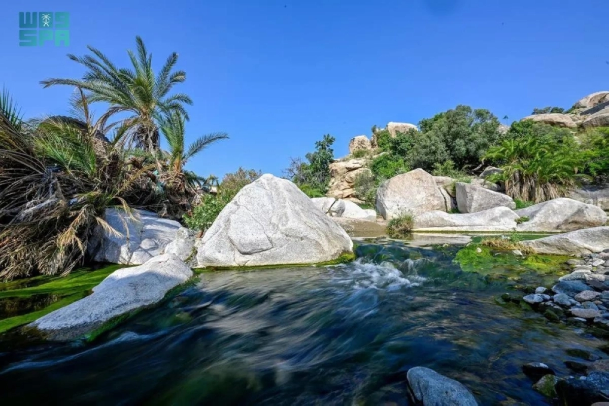 Fiu4tLaUCPB33Di5d3HP3n1MyybQ5TR6qgVSV43a