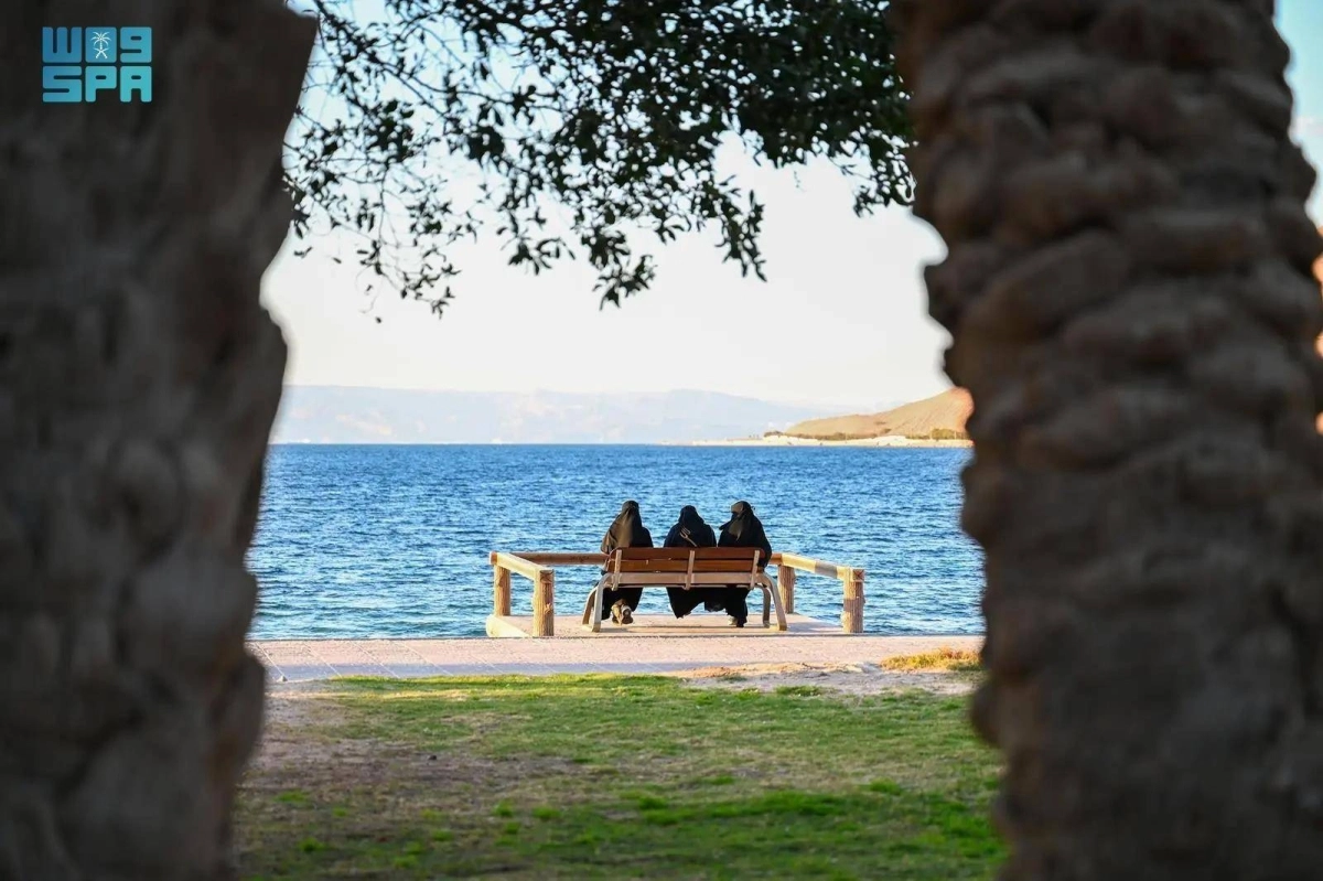 xC1azJJtqEF0EDGORgYxQaY9r7Dht3lthfbvfPNY