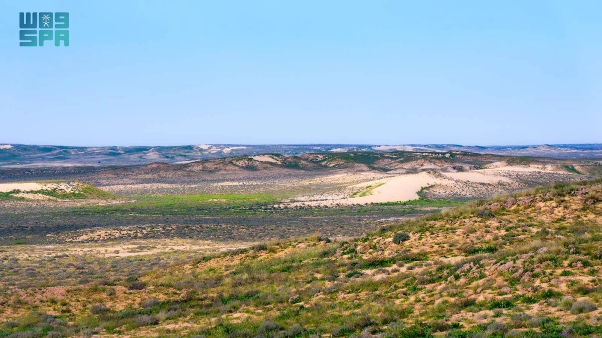 


محمية الملك عبدالعزيز 