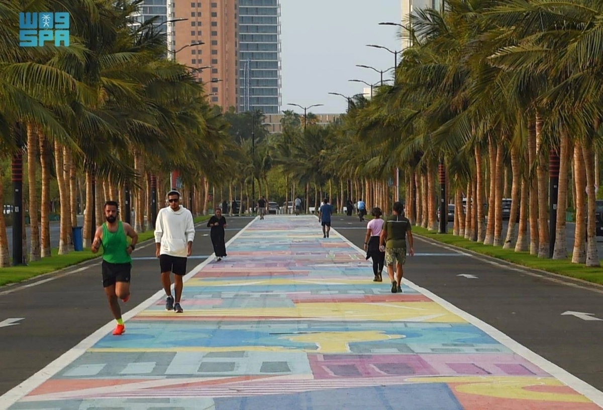 


مشاركة الأفراد في المبادرة 