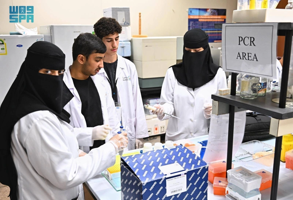 


تنمية قدرات الطلاب الموهوبين 