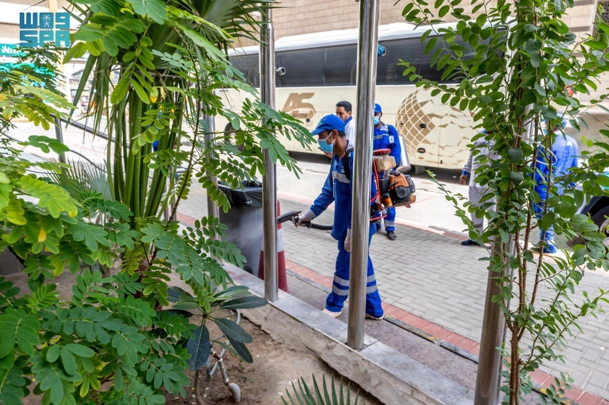 


مكافحة البعوض والذباب 