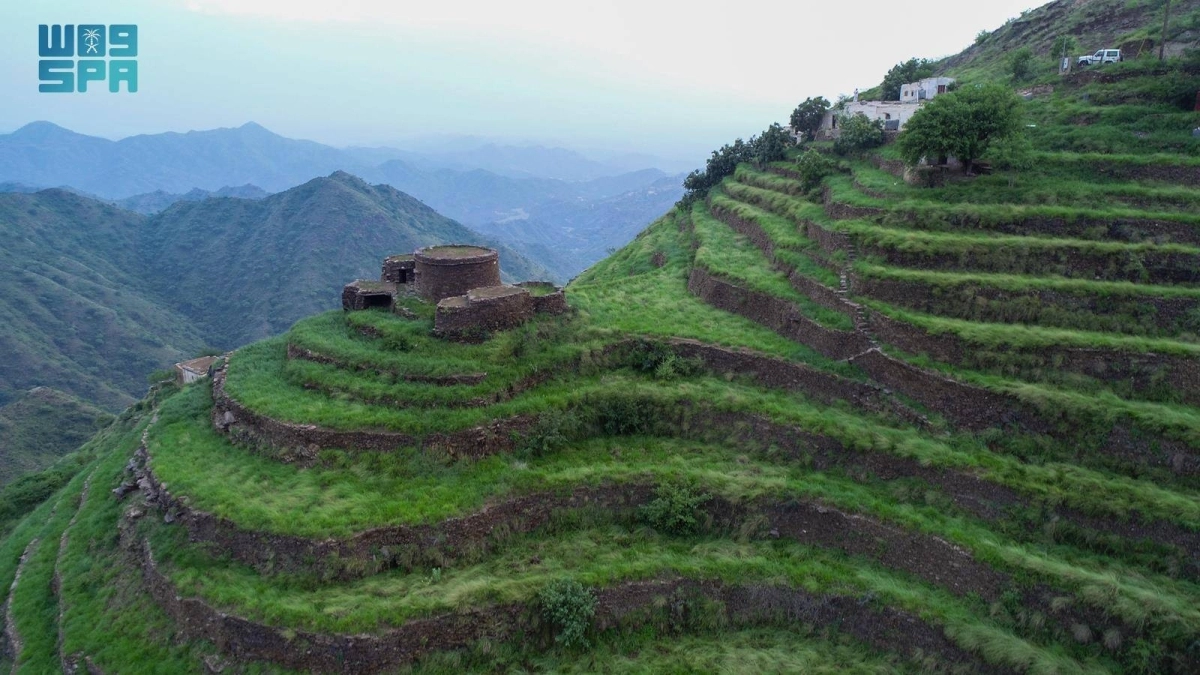 


مدرجات جبلية خضراء 