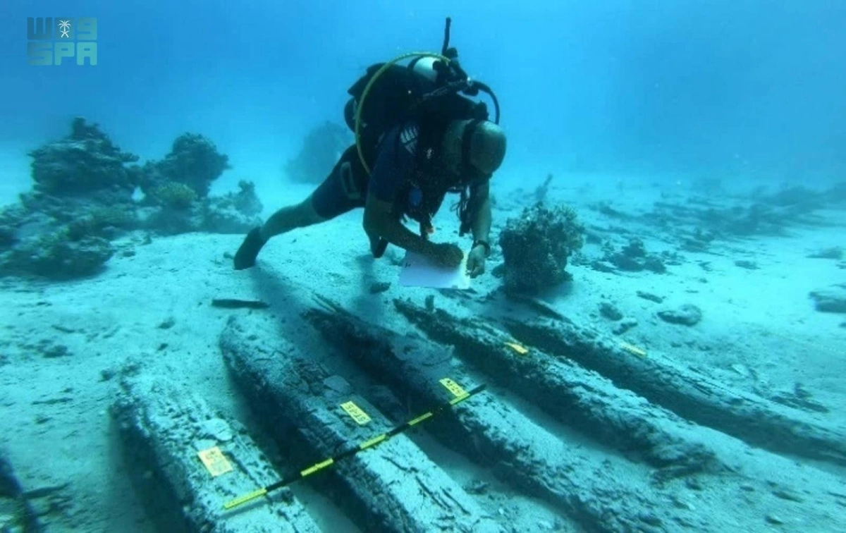 


البحر الأحمر 