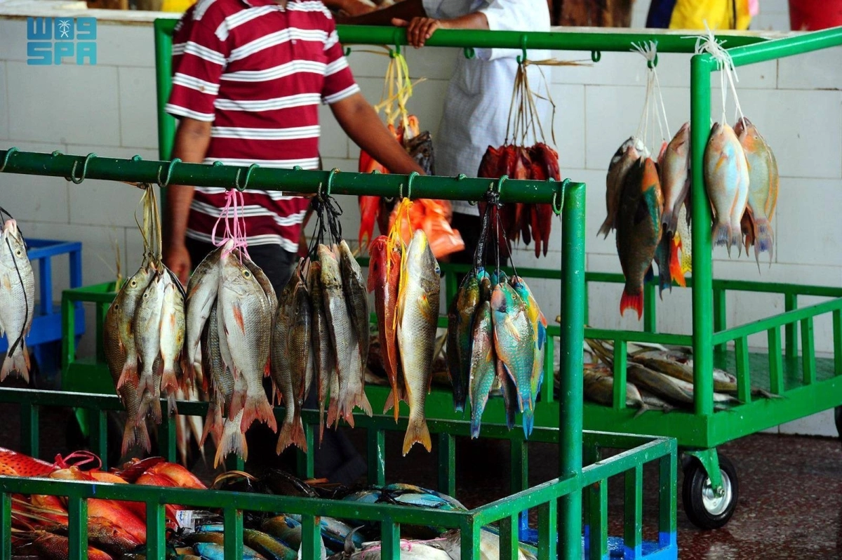 


أسماك طازجة من بحر ثول 