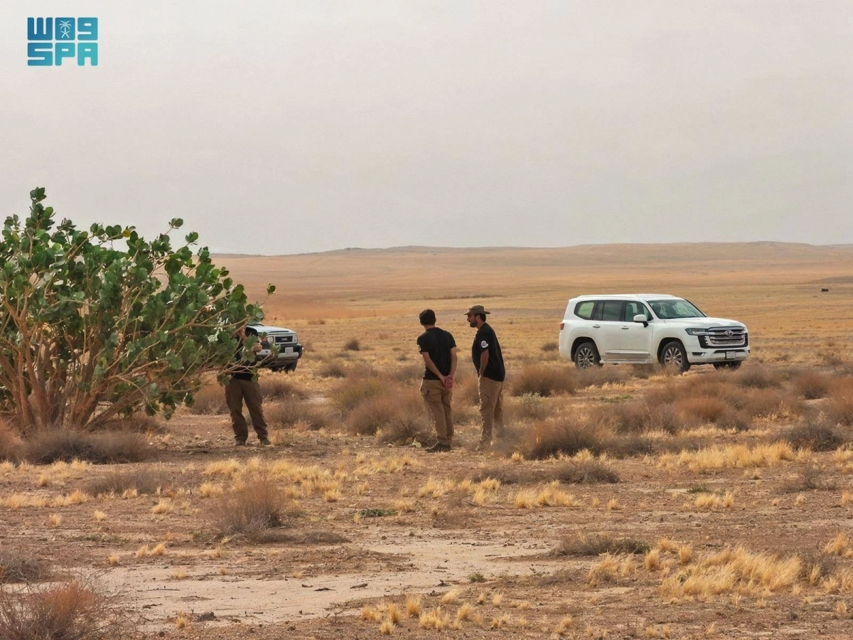 


محمية الملك عبدالعزيز الملكية 